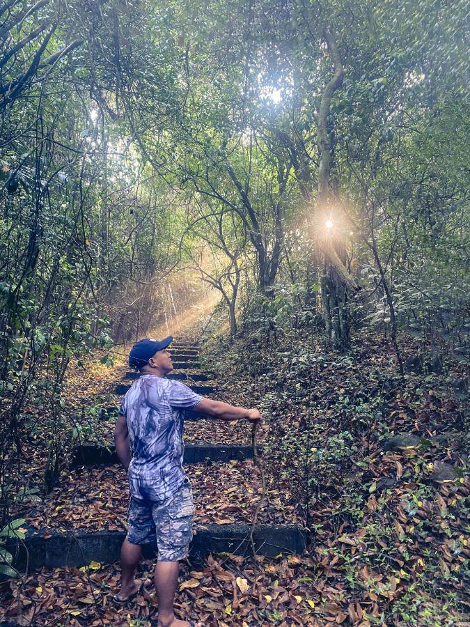 Momarco Forest Cove Tanay Dış mekan fotoğraf