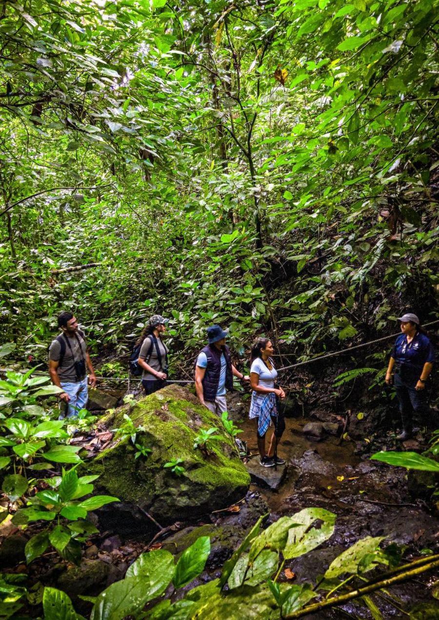 Momarco Forest Cove Tanay Dış mekan fotoğraf