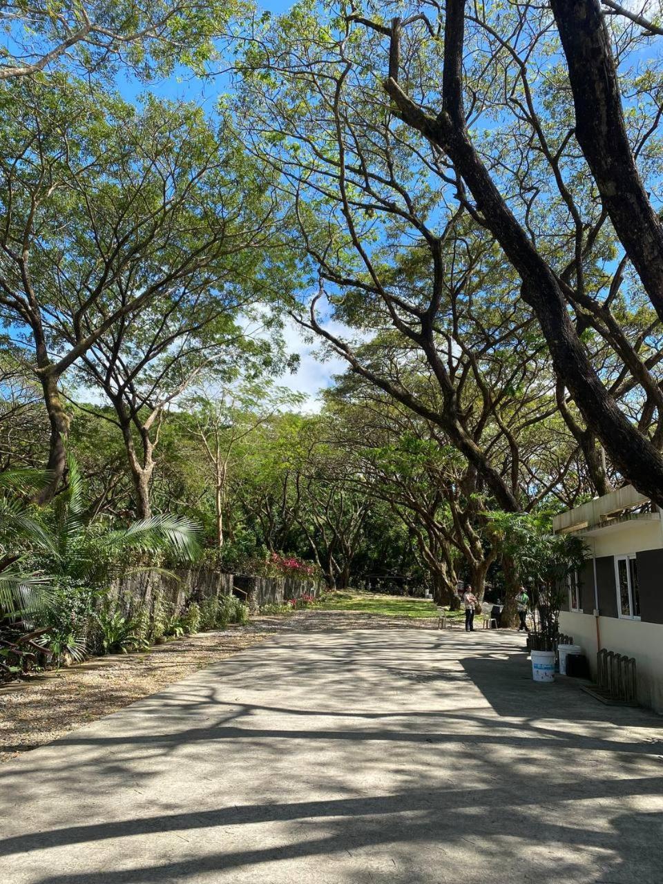 Momarco Forest Cove Tanay Dış mekan fotoğraf