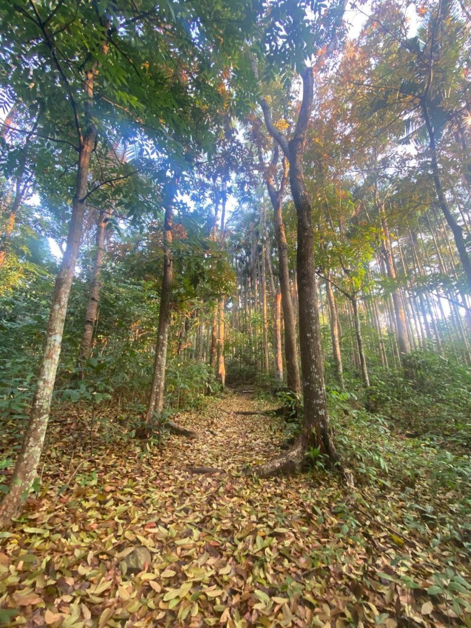 Momarco Forest Cove Tanay Dış mekan fotoğraf